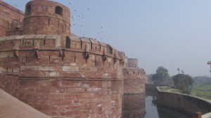 Agra 10.12.2013 3