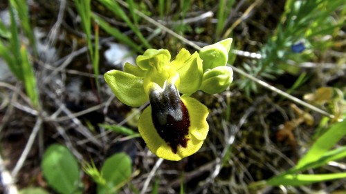 Cavagrande del Cassibile   19.04.2014 37