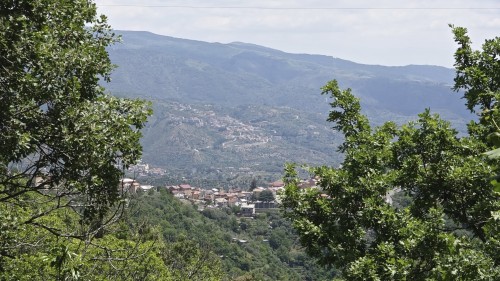 Catansaro-Lago Passante 06.06.2014 18