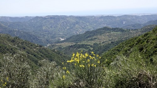 Catansaro-Lago Passante 06.06.2014 7