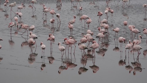 Walvis Bay