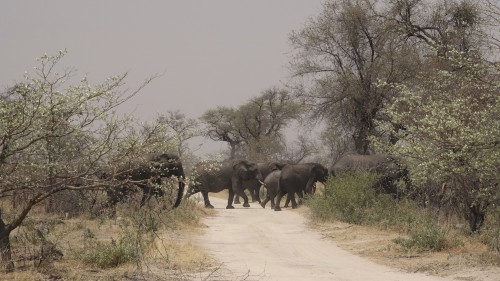 Mudumu Nat. Park