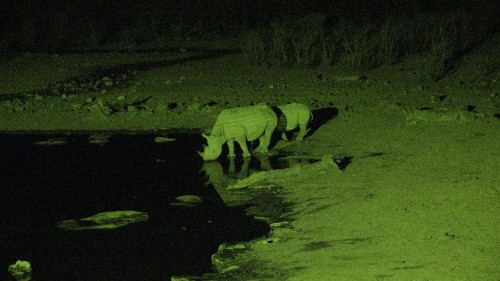 Etosha National Park