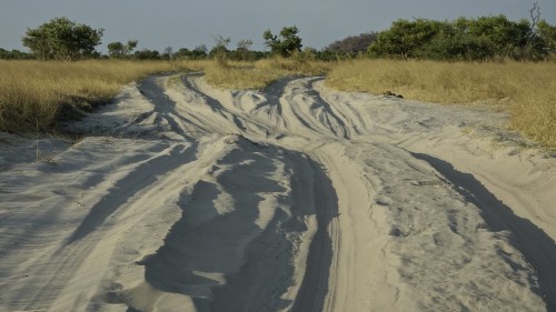 Savuti | Chobe Nat. Park