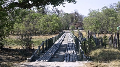 Moremi Nat. Park