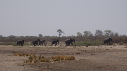 Bwabwata Nationalpark