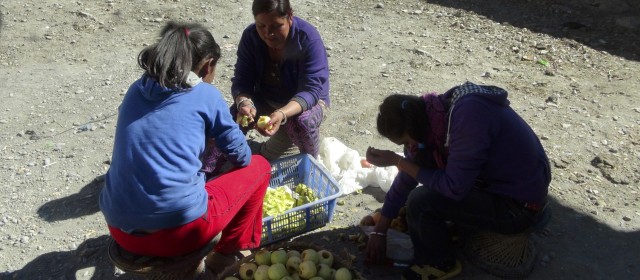 Jomsom 19.11.13 |Reisebericht