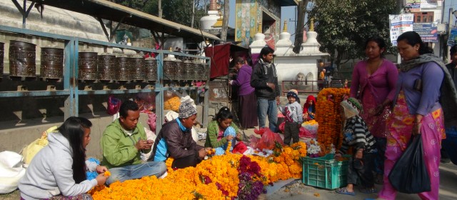 Kathmandu 3.11.13 |Fotogalerie