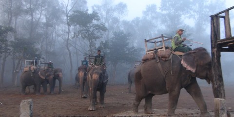 Chitwan National Park