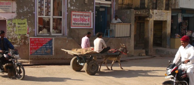 Mandava – Bikaner 27.11.13 | Fotogalerie