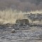 Ranthambhore National Park