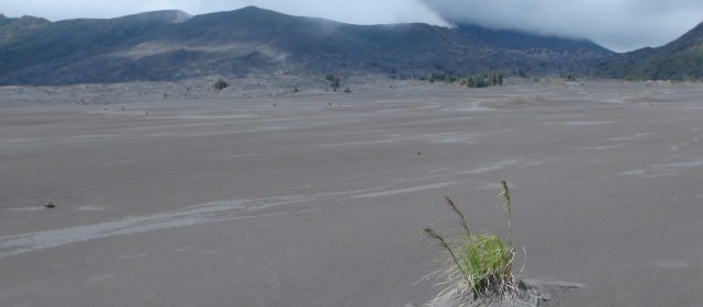 Bromo 3.2.14| Fotogalerie