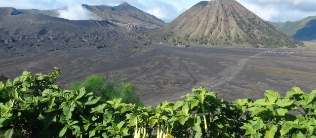 Bromo – Pemuderan 4.2.14|Fotogalerie