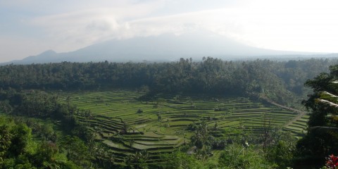 Rendang