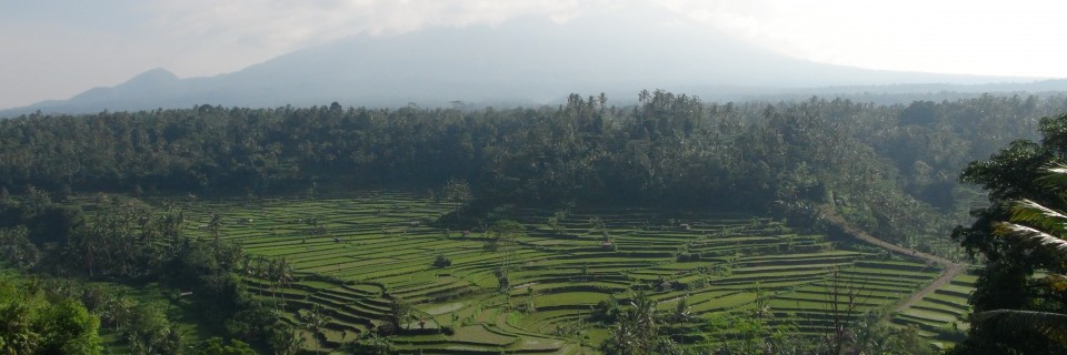 Rendang