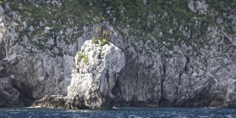 Capri