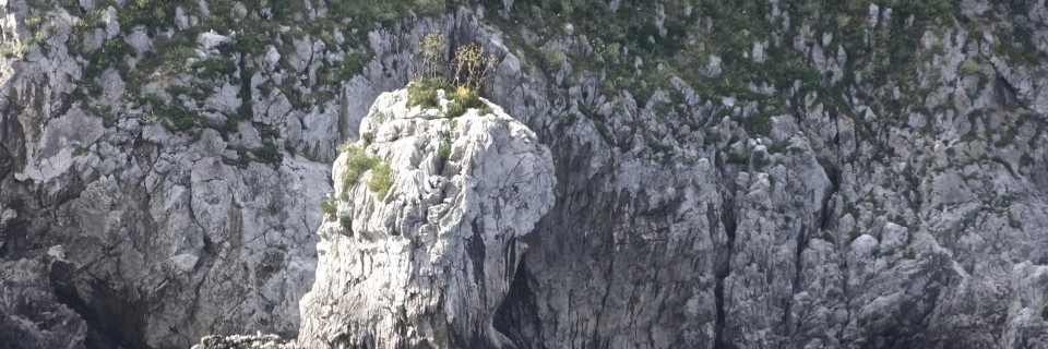 Capri