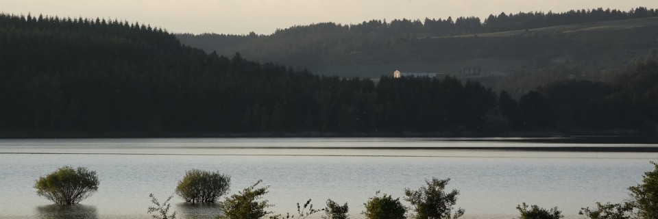 Lago di Cecita