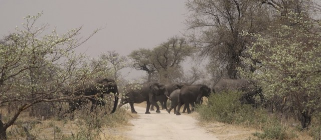 Divundu – Katima Mulilo | Fotogalerie 11.10. – 14.10.15