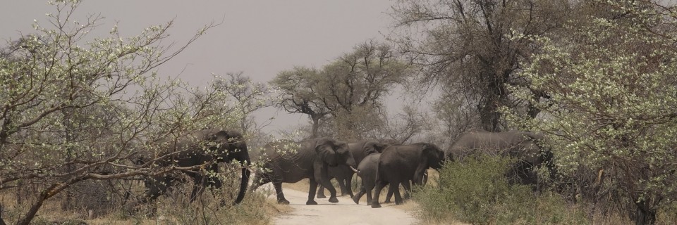 Mudumu-Nationalpark