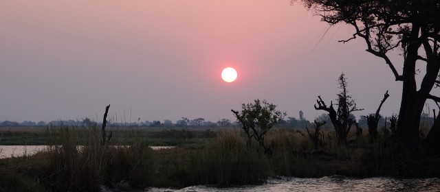 Kasane | Chobe Nationalpark | Reisebericht 18.10. – 23.10.15