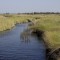 Okawango Delta