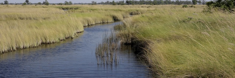 Okawango Delta