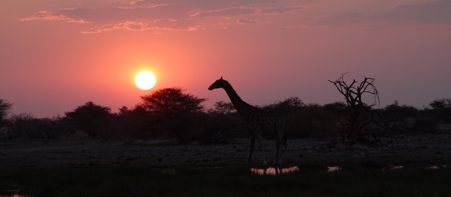 Etosha National Park | Fotogalerie 1.10. – 3.10.15