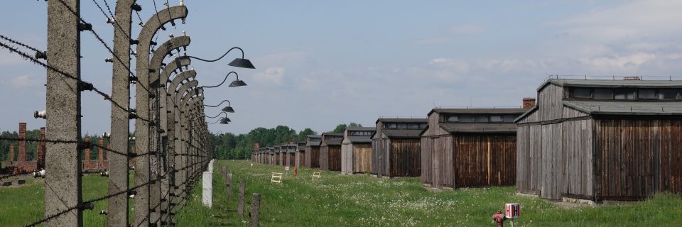 Auschwitz-Birkenau