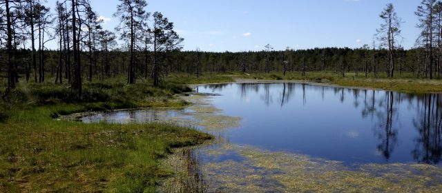 Estland | Reisebericht