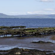 Portstewart | Reisebericht